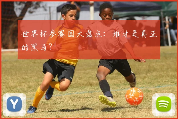 世界杯参赛国大盘点：谁才是真正的黑马？