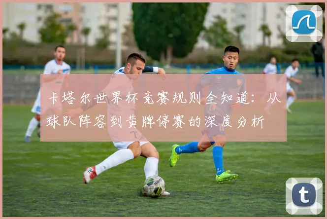 卡塔尔世界杯竞赛规则全知道：从球队阵容到黄牌停赛的深度分析