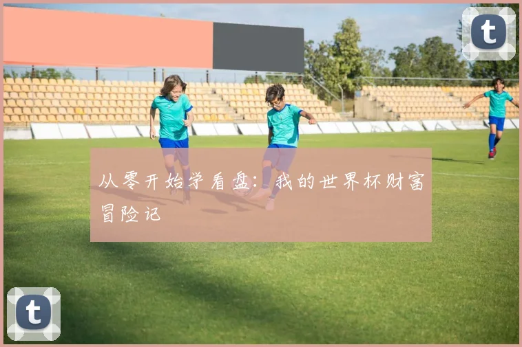 从零开始学看盘：我的世界杯财富冒险记