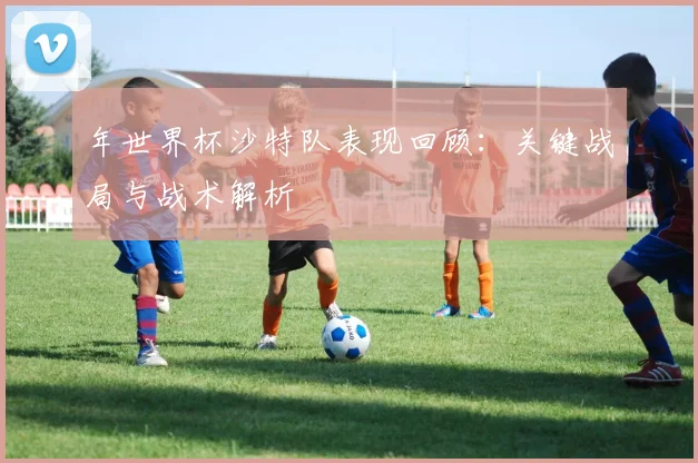 年世界杯沙特队表现回顾：关键战局与战术解析