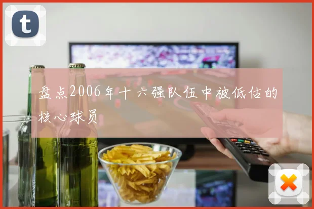 盘点2006年十六强队伍中被低估的核心球员