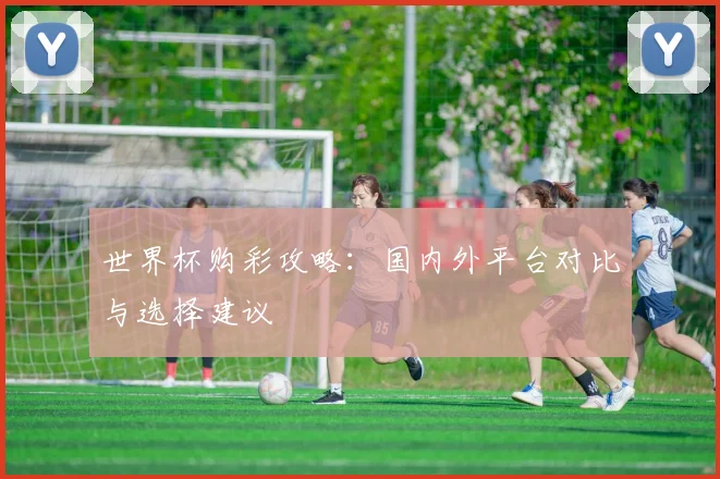世界杯购彩攻略：国内外平台对比与选择建议