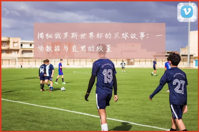 揭秘俄罗斯世界杯的买球故事：一场数据与直觉的较量