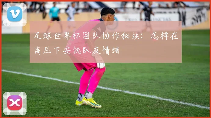 足球世界杯团队协作秘诀：怎样在高压下安抚队友情绪